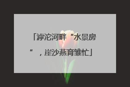 滹沱河畔“水景房”，崖沙燕育雏忙