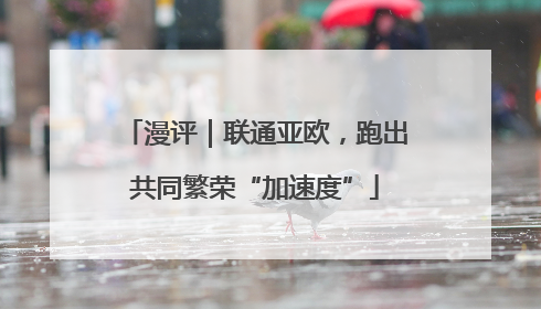 漫评｜联通亚欧，跑出共同繁荣“加速度”