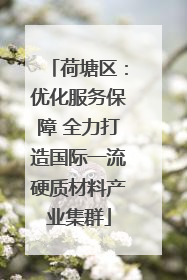 荷塘区：优化服务保障 全力打造国际一流硬质材料产业集群
