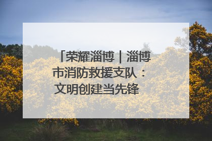 荣耀淄博｜淄博市消防救援支队：文明创建当先锋 蓝焰映红建新功