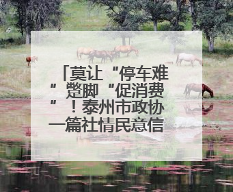 莫让“停车难”蹩脚“促消费”！泰州市政协一篇社情民意信息背后