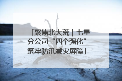 聚焦北大荒｜七星分公司“四个强化”筑牢防汛减灾屏障