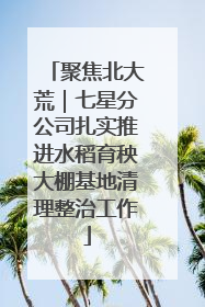 聚焦北大荒｜七星分公司扎实推进水稻育秧大棚基地清理整治工作