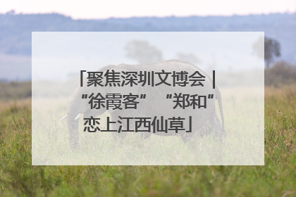 聚焦深圳文博会｜“徐霞客”“郑和”恋上江西仙草