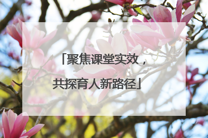 聚焦课堂实效，共探育人新路径