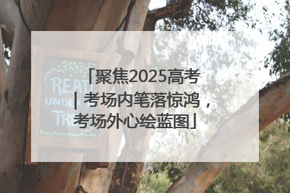 聚焦2025高考｜考场内笔落惊鸿，考场外心绘蓝图