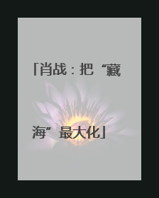 肖战：把“藏海”最大化