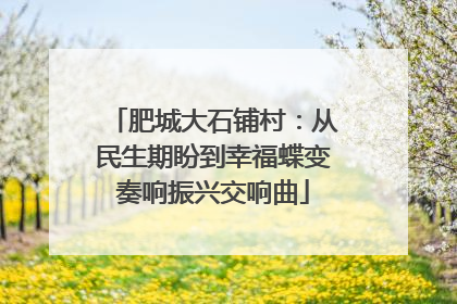 肥城大石铺村：从民生期盼到幸福蝶变奏响振兴交响曲