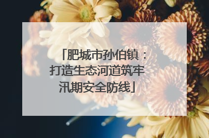 肥城市孙伯镇：打造生态河道筑牢汛期安全防线