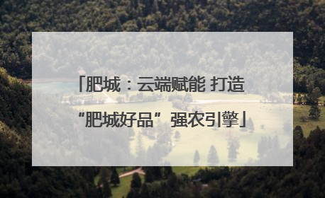 肥城：云端赋能 打造“肥城好品”强农引擎