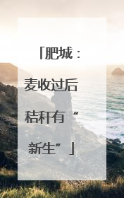 肥城：麦收过后秸秆有“新生”