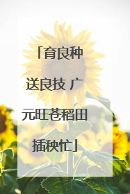 育良种 送良技 广元旺苍稻田插秧忙