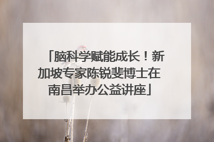 脑科学赋能成长！新加坡专家陈锐斐博士在南昌举办公益讲座