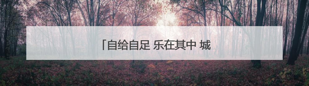 自给自足 乐在其中 城市里的空中“田园梦”