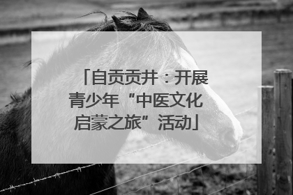 自贡贡井：开展青少年“中医文化启蒙之旅”活动