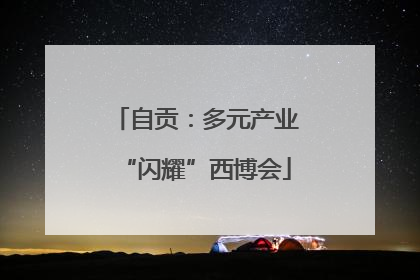 自贡：多元产业“闪耀”西博会