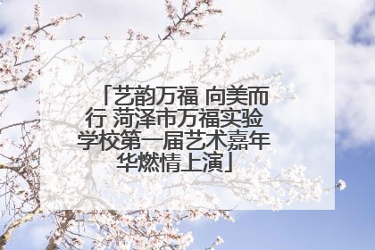 艺韵万福 向美而行 菏泽市万福实验学校第一届艺术嘉年华燃情上演