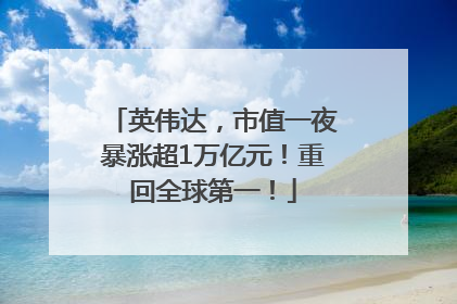 英伟达，市值一夜暴涨超1万亿元！重回全球第一！