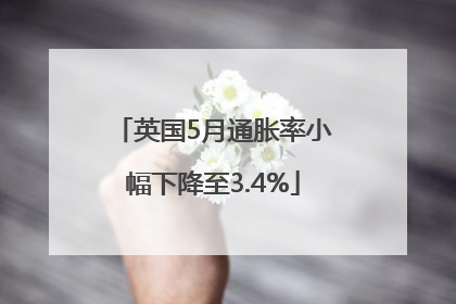 英国5月通胀率小幅下降至3.4%
