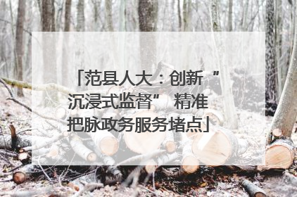 范县人大：创新“沉浸式监督” 精准把脉政务服务堵点