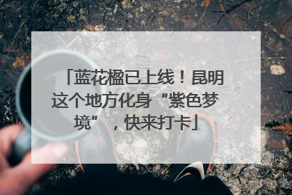 蓝花楹已上线！昆明这个地方化身“紫色梦境”，快来打卡