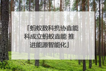 蚂蚁数科携协鑫能科成立蚂蚁鑫能 推进能源智能化