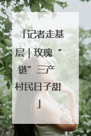 记者走基层｜玫瑰“链”三产 村民日子甜
