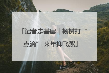 记者走基层｜杨树打“点滴” 来年抑飞絮