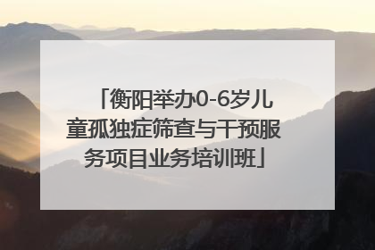 衡阳举办0-6岁儿童孤独症筛查与干预服务项目业务培训班