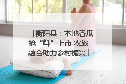 衡阳县：本地香瓜抢“鲜”上市 农旅融合助力乡村振兴
