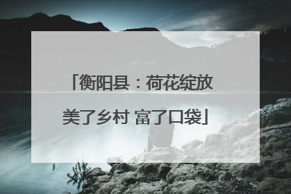 衡阳县：荷花绽放 美了乡村 富了口袋