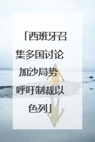 西班牙召集多国讨论加沙局势 呼吁制裁以色列