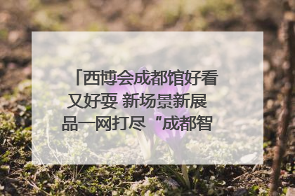 西博会成都馆好看又好耍 新场景新展品一网打尽“成都智造”｜西博视界