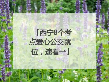 西宁8个考点爱心公交就位，速看→