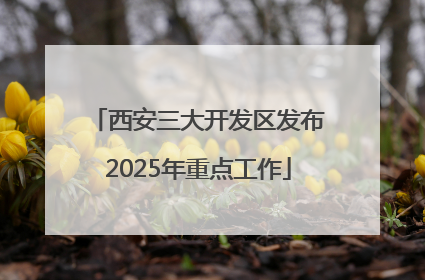 西安三大开发区发布2025年重点工作