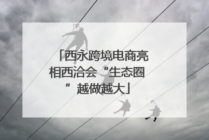 西永跨境电商亮相西洽会“生态圈”越做越大
