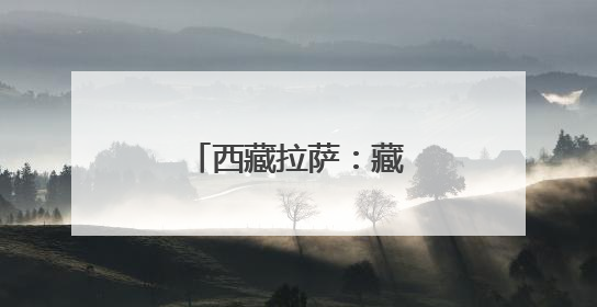 西藏拉萨：藏马鸡林间觅食