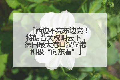 西边不亮东边亮！特朗普关税阴云下，德国最大港口汉堡港积极“向东看”