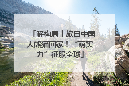 解构局丨旅日中国大熊猫回家！“萌实力”征服全球