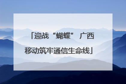 迎战“蝴蝶” 广西移动筑牢通信生命线