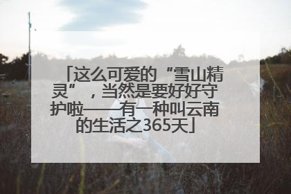 这么可爱的“雪山精灵”，当然是要好好守护啦——有一种叫云南的生活之365天