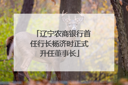 辽宁农商银行首任行长杨济时正式升任董事长