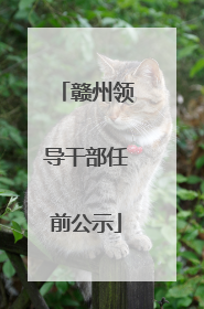 赣州领导干部任前公示