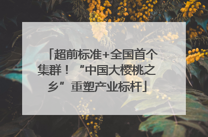 超前标准+全国首个集群！“中国大樱桃之乡”重塑产业标杆