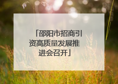 邵阳市招商引资高质量发展推进会召开