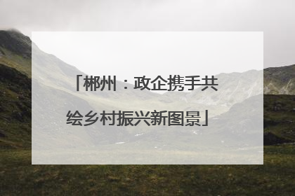 郴州：政企携手共绘乡村振兴新图景