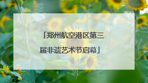 郑州航空港区第三届非遗艺术节启幕