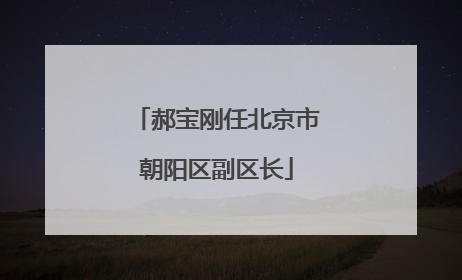 郝宝刚任北京市朝阳区副区长