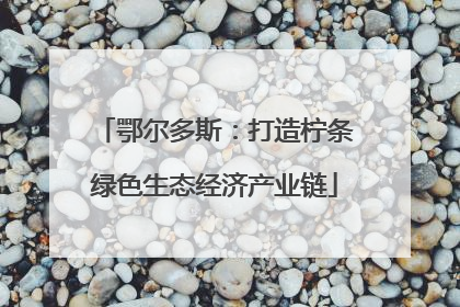 鄂尔多斯：打造柠条绿色生态经济产业链