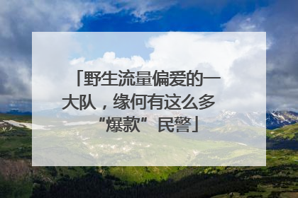 野生流量偏爱的一大队，缘何有这么多“爆款”民警